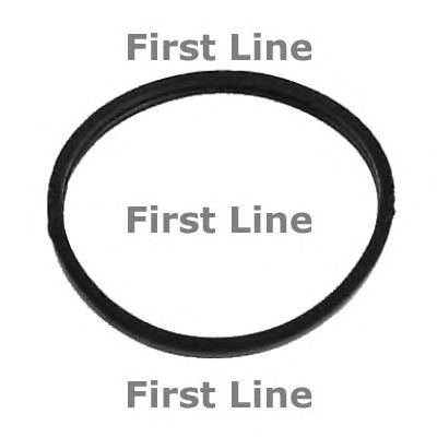 FIRST LINE tg048 -  Термостат, охлаждающая жидкость